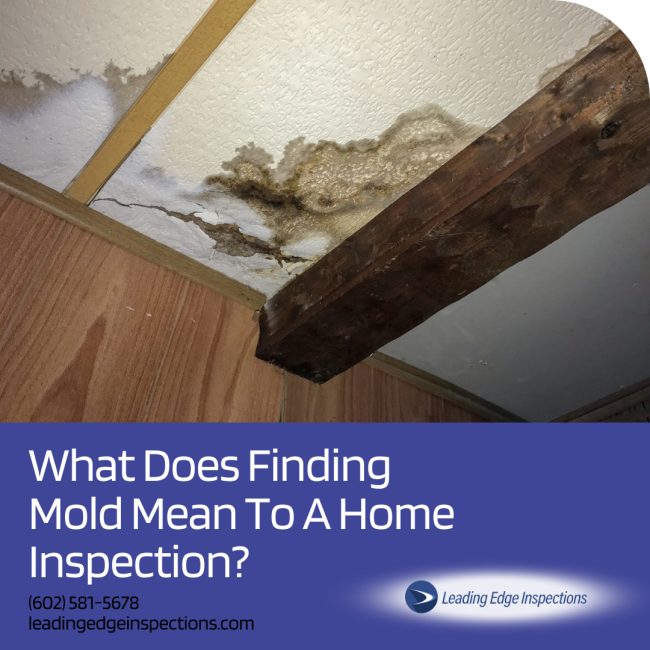 What Does Finding Mold Mean To A Home Inspection? - Phoenix AZ home inspector