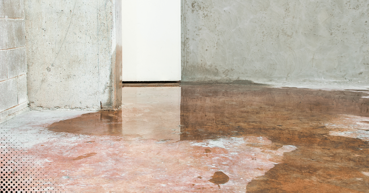 Water pooling on the floor, indicative of a leak.