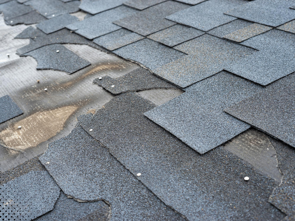Roof damage with missing shingles and exposed underlayment.